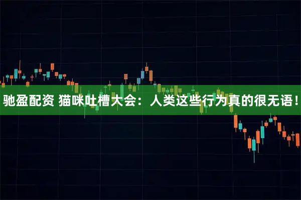 驰盈配资 猫咪吐槽大会：人类这些行为真的很无语！