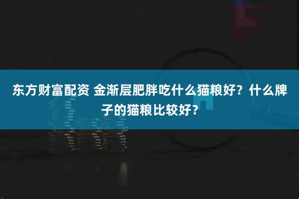 东方财富配资 金渐层肥胖吃什么猫粮好？什么牌子的猫粮比较好？