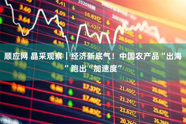 顺应网 晶采观察｜经济新底气！中国农产品“出海”跑出“加速度”