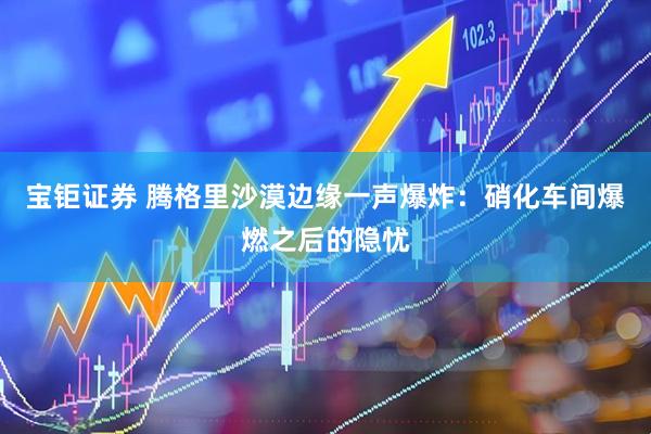 宝钜证券 腾格里沙漠边缘一声爆炸：硝化车间爆燃之后的隐忧